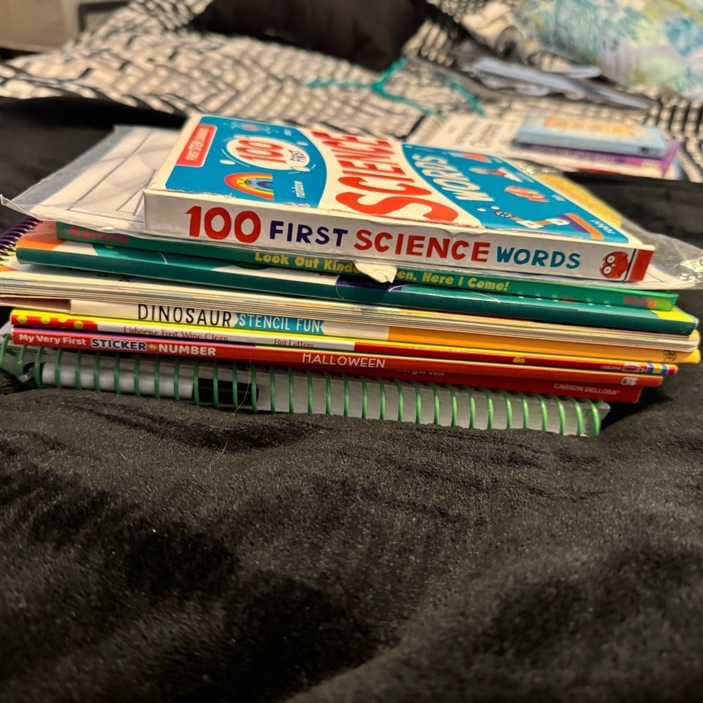 📚 Kids Learning & Activity Book Bundle – 10+ Titles | Preschool to 1st Grade - Picture 3 of 12